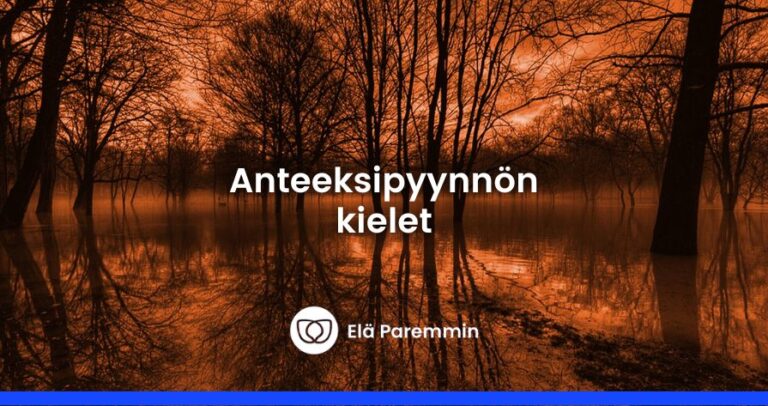 anteeksipyynnön 5 kieltä