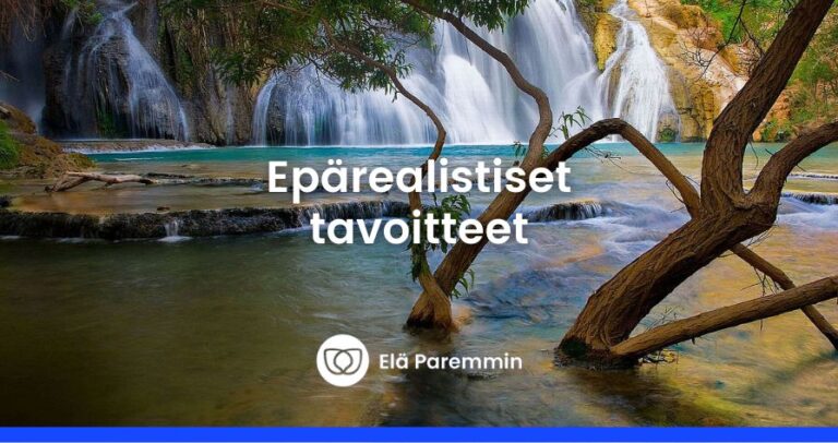 tavoitteiden asettaminen2