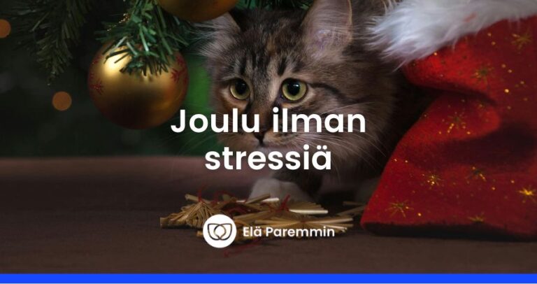 Joulu ilman stressiä