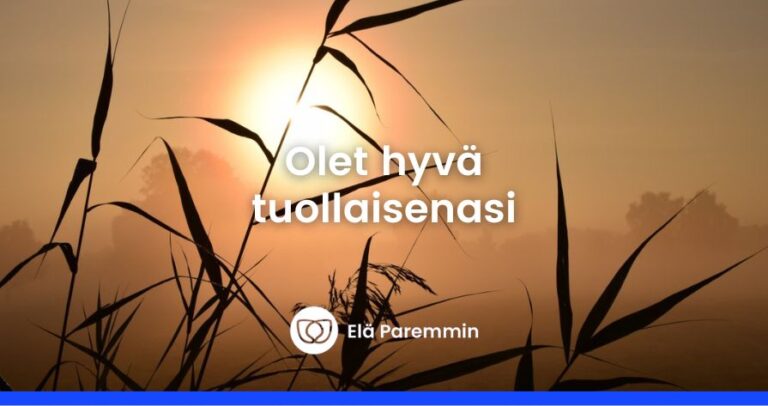 häpeä ja riittämättömyys